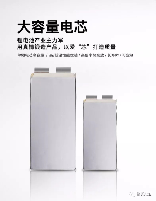 固體聚合物電解質(zhì)鋰離子電池 固體聚合物電解質(zhì)鋰離子電池
